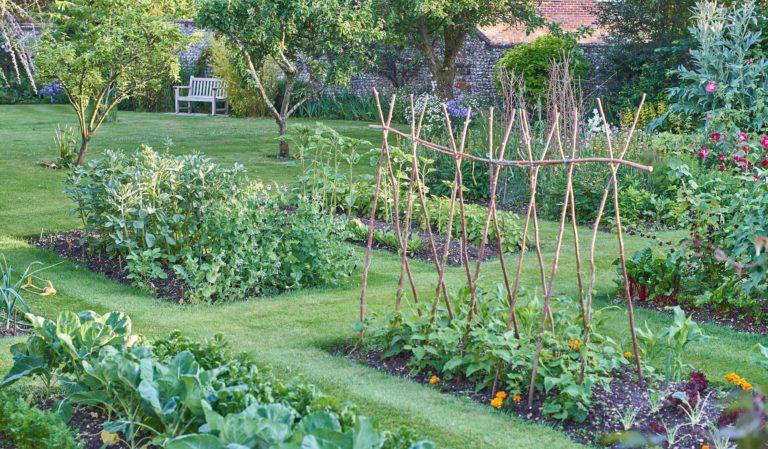 ou-faire-son-potager