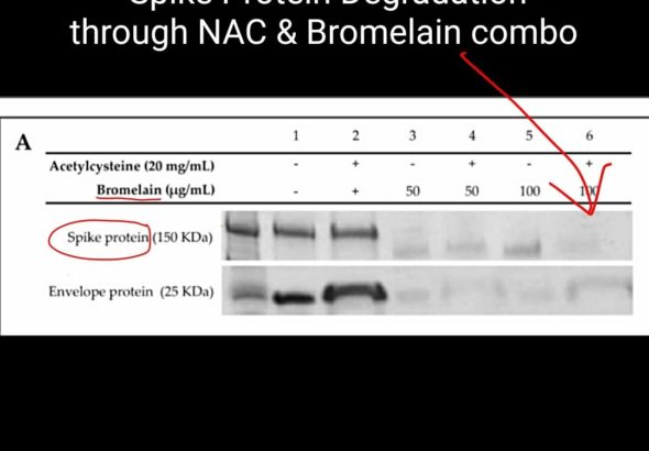 fmme-b1xkaeztle-1