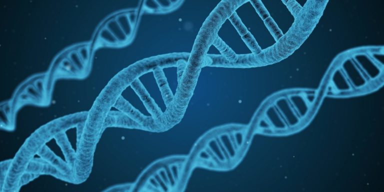 dna-1811955_1920-1536x768-1