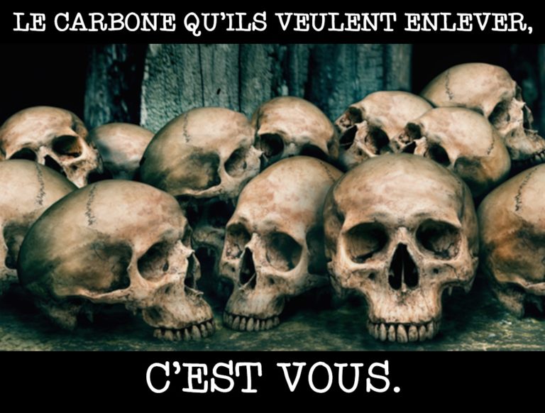 net-zero-le-carbone-quils-veulent-enlever-cest-vous