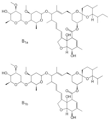 Ivermectin_skeletal